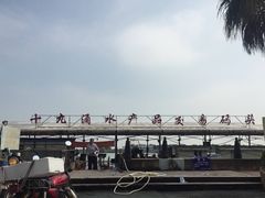 -大湾区中央湿地公园-十九涌