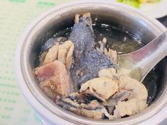 花旗参炖竹丝鸡汤-荔园小馆(园岭新村二期店)