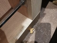 -上海虹桥西郊假日酒店