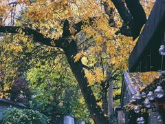 -VOYAGE COFFEE(北锣鼓巷店)