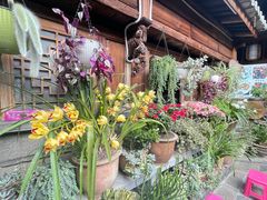 -龙姐私房菜(和顺古镇店)