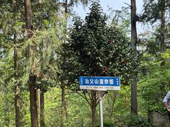 -冶父山国家森林公园