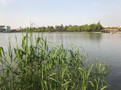 -美兰湖景区