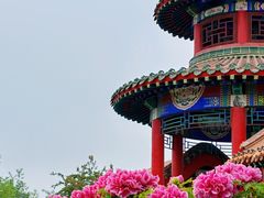 -曹州百花园