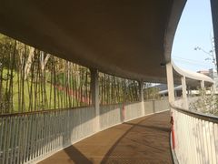 -东钱湖小普陀景区