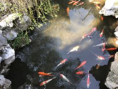 -杭州西湖柳莺里酒店