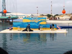 -秦皇岛乐岛海洋王国