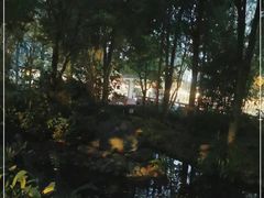 -成都市活水公园