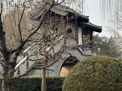 -团结湖公园