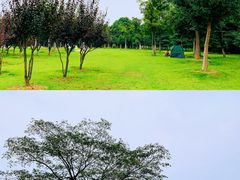 -钟山体育运动公园