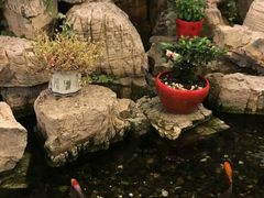 -苏州独墅湖书香世家酒店