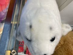 -河内内排国际机场