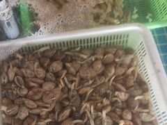 -和源祥·日照菜扛把子(万平口一店)