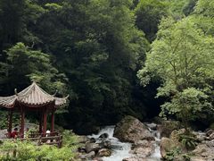 -西岭雪山大飞水景区