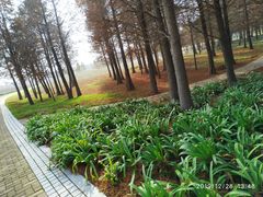 -同里国家湿地公园