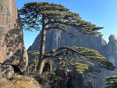 -黄山风景区