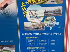 -盐城丹顶鹤湿地生态旅游区