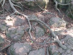 -晓港公园