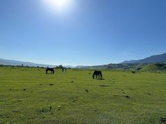 -新疆那拉提国家旅游度假区