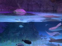 -沈阳海洋探索中心