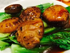 花菇扒菜胆-镛记酒家