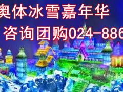 奥体冰雪嘉年华灯光图片-沈阳奥体冰雪嘉年华