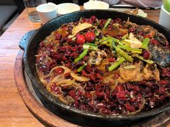 -老板恋上鱼(恒隆广场店)