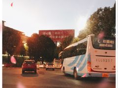 -姚记抚仙湖石锅鱼庄