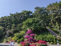 -广州市白云山风景名胜区