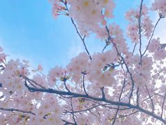 -苏州上方山国家森林公园