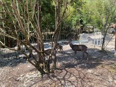 -鹿院坪生态旅游景区