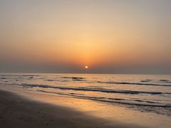 -日照海滨国家森林公园