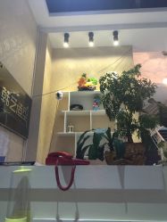 -HANYI韩艺形象店