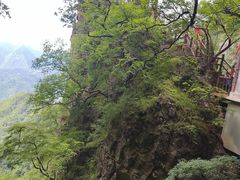 -塔云山