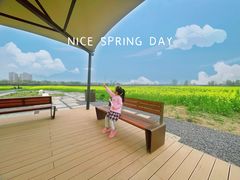 -汉长安城未央宫国家考古遗址公园