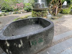 -海口火山口国家地质公园
