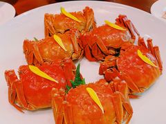 醉蟹-荣府宴(南阳路店)