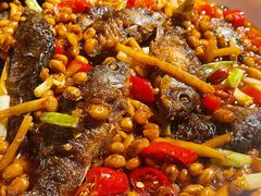 山黄皮蒸黄锋鱼-甘家界牌柠檬鸭(青山店)