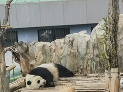 -青藏高原野生动物园