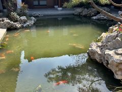 -水绘园