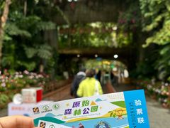 -西双版纳原始森林公园