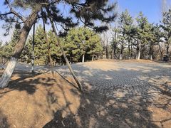 -莫子山公园
