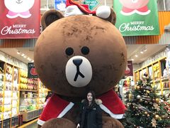 -line friends(明洞旗舰店)