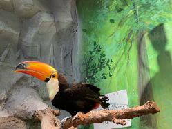 -Zoolung Zoolung动物主题公园(海信广场店)