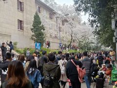 -武汉大学-樱园