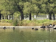 -长春世界雕塑园冰雪艺术天地