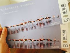-BLACKSWAN黑天鹅(环球店)