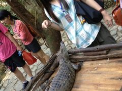 -海南槟榔谷黎苗文化旅游区