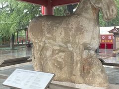 -茂陵博物馆