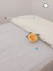-CAMENAE嘉媚乐